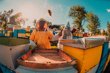 Image showing Beekeepers checking honey on the beehive frame in the field. Small business owners on apiary. Natural healthy food produceris working with bees and beehives on the apiary.