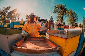 Image showing Beekeepers checking honey on the beehive frame in the field. Small business owners on apiary. Natural healthy food produceris working with bees and beehives on the apiary.