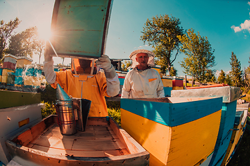 Image showing Beekeepers checking honey on the beehive frame in the field. Small business owners on apiary. Natural healthy food produceris working with bees and beehives on the apiary.