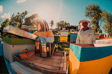 Image showing Beekeepers checking honey on the beehive frame in the field. Small business owners on apiary. Natural healthy food produceris working with bees and beehives on the apiary.