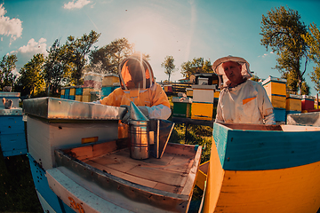 Image showing Beekeepers checking honey on the beehive frame in the field. Small business owners on apiary. Natural healthy food produceris working with bees and beehives on the apiary.