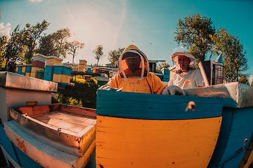 Image showing Beekeepers checking honey on the beehive frame in the field. Small business owners on apiary. Natural healthy food produceris working with bees and beehives on the apiary.