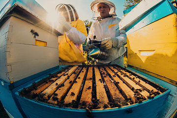 Image showing Beekeepers checking honey on the beehive frame in the field. Small business owners on apiary. Natural healthy food produceris working with bees and beehives on the apiary.