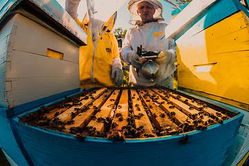 Image showing Beekeepers checking honey on the beehive frame in the field. Small business owners on apiary. Natural healthy food produceris working with bees and beehives on the apiary.