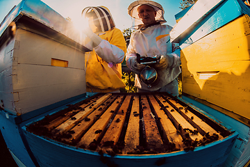 Image showing Beekeepers checking honey on the beehive frame in the field. Small business owners on apiary. Natural healthy food produceris working with bees and beehives on the apiary.