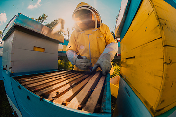 Image showing Beekeepers checking honey on the beehive frame in the field. Small business owners on apiary. Natural healthy food produceris working with bees and beehives on the apiary.