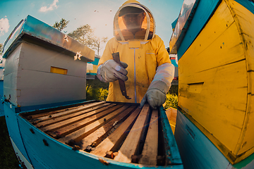 Image showing Beekeeper checking honey on the beehive frame in the field. Small business owner on apiary. Natural healthy food produceris working with bees and beehives on the apiary.