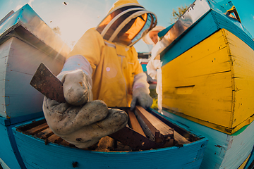 Image showing Beekeeper checking honey on the beehive frame in the field. Small business owner on apiary. Natural healthy food produceris working with bees and beehives on the apiary.