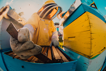 Image showing Beekeepers check the honey on the hive frame in the field. Beekeepers check honey quality and honey parasites. A beekeeper works with bees and beehives in an apiary.