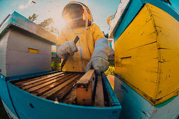 Image showing Beekeeper checking honey on the beehive frame in the field. Small business owner on apiary. Natural healthy food produceris working with bees and beehives on the apiary.