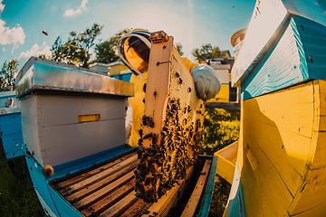 Image showing Beekeepers checking honey on the beehive frame in the field. Small business owners on apiary. Natural healthy food produceris working with bees and beehives on the apiary.