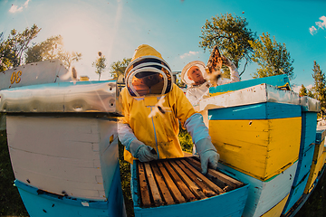 Image showing Beekeepers checking honey on the beehive frame in the field. Small business owners on apiary. Natural healthy food produceris working with bees and beehives on the apiary.