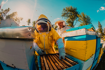 Image showing Beekeepers checking honey on the beehive frame in the field. Small business owners on apiary. Natural healthy food produceris working with bees and beehives on the apiary.