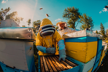 Image showing Beekeepers checking honey on the beehive frame in the field. Small business owners on apiary. Natural healthy food produceris working with bees and beehives on the apiary.