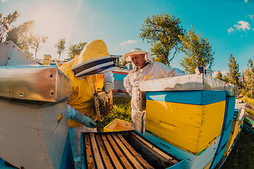 Image showing Beekeepers checking honey on the beehive frame in the field. Small business owners on apiary. Natural healthy food produceris working with bees and beehives on the apiary.