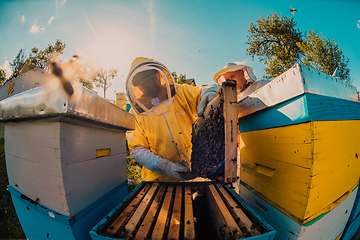 Image showing Beekeepers checking honey on the beehive frame in the field. Small business owners on apiary. Natural healthy food produceris working with bees and beehives on the apiary.