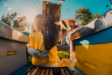 Image showing Beekeepers checking honey on the beehive frame in the field. Small business owners on apiary. Natural healthy food produceris working with bees and beehives on the apiary.