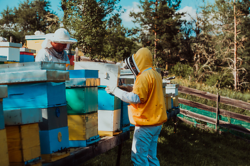 Image showing Beekeepers check the honey on the hive frame in the field. Beekeepers check honey quality and honey parasites. A beekeeper works with bees and beehives in an apiary.