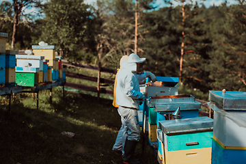 Image showing Beekeepers check the honey on the hive frame in the field. Beekeepers check honey quality and honey parasites. A beekeeper works with bees and beehives in an apiary.