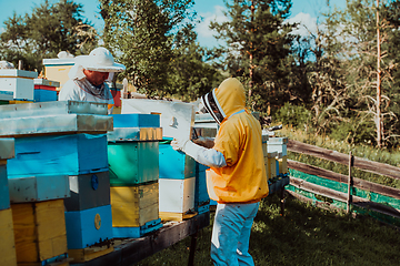 Image showing Beekeepers check the honey on the hive frame in the field. Beekeepers check honey quality and honey parasites. A beekeeper works with bees and beehives in an apiary.