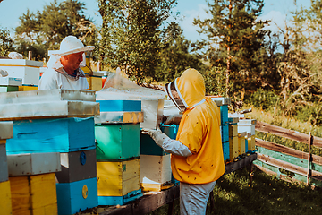 Image showing Beekeepers checking honey on the beehive frame in the field. Small business owners on apiary. Natural healthy food produceris working with bees and beehives on the apiary.