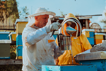 Image showing Beekeepers checking honey on the beehive frame in the field. Small business owners on apiary. Natural healthy food produceris working with bees and beehives on the apiary.