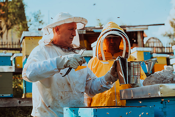 Image showing Beekeepers checking honey on the beehive frame in the field. Small business owners on apiary. Natural healthy food produceris working with bees and beehives on the apiary.