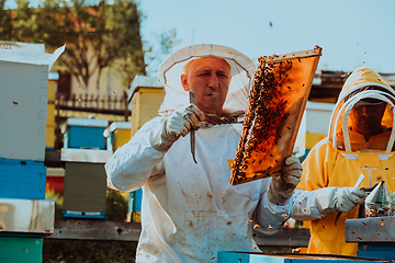 Image showing Beekeepers checking honey on the beehive frame in the field. Small business owners on apiary. Natural healthy food produceris working with bees and beehives on the apiary.