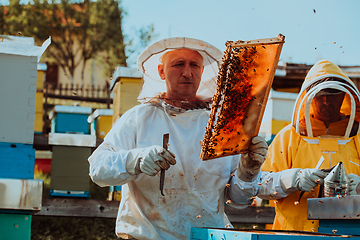 Image showing Beekeepers checking honey on the beehive frame in the field. Small business owners on apiary. Natural healthy food produceris working with bees and beehives on the apiary.