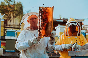 Image showing Beekeepers checking honey on the beehive frame in the field. Small business owners on apiary. Natural healthy food produceris working with bees and beehives on the apiary.