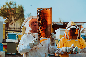 Image showing Beekeepers checking honey on the beehive frame in the field. Small business owners on apiary. Natural healthy food produceris working with bees and beehives on the apiary.