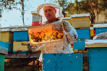 Image showing Beekeeper checking honey on the beehive frame in the field. Small business owner on apiary. Natural healthy food produceris working with bees and beehives on the apiary.