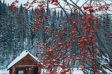 Image showing Winter holiday house in forest.