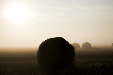 Image showing beautiful sunrise in the agricultural field