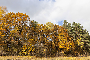 Image showing autumn season