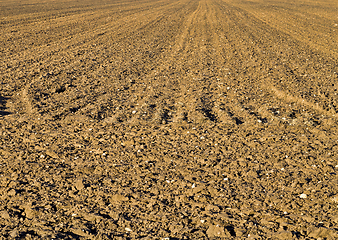 Image showing arable land, field