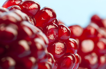 Image showing red juicy pomegranate