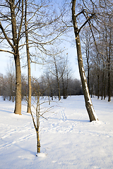 Image showing white fresh snow