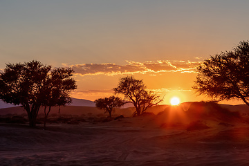 Image showing sunrise landscape Hidden Vlei in Namibia, Africa