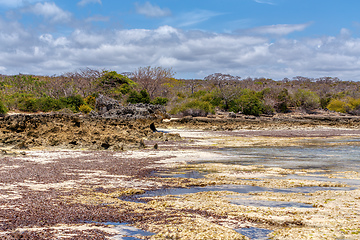 Image showing rocky beach in Madagascar, Antsiranana, Diego Suarez