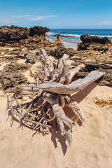 Image showing rocky beach in Madagascar, Antsiranana, Diego Suarez