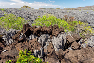 Image showing Ankarana Tsingy stones, northern Madagascar landmark