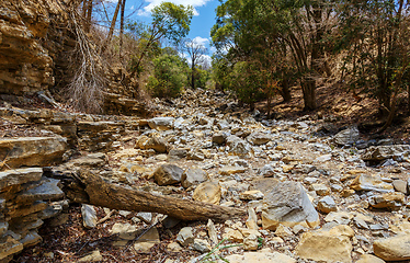 Image showing dry stone riverbed, Ankarana Madagascar, Africa