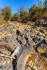 Image showing dry stone riverbed, Ankarana Madagascar, Africa