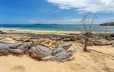 Image showing rocky beach in Madagascar, Antsiranana, Diego Suarez