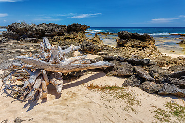 Image showing rocky beach in Madagascar, Antsiranana, Diego Suarez