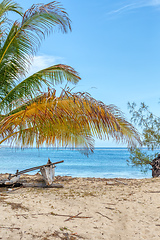 Image showing sand beach in Madagascar, Antsiranana, Diego Suarez