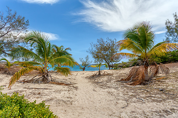 Image showing sand beach in Madagascar, Antsiranana, Diego Suarez