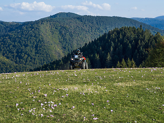 Image showing A man driving a quad ATV motorcycle through beautiful meadow landscapes