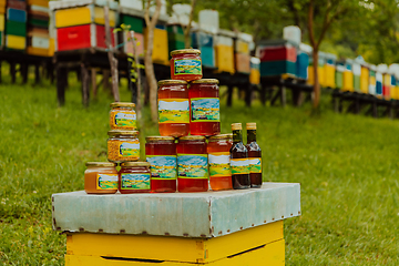 Image showing Natural honey products photographed at a honey farm. Pollen, honey and various honey products